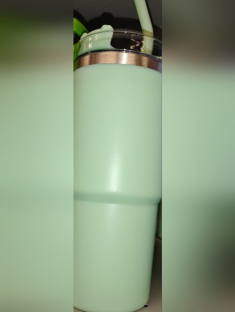 Mint Green Insulated Travel Tumbler with a Straw and Lid